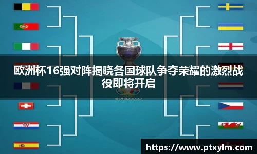 b.sports体育